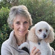 House Sitter - An animal loving, honest, caring couple