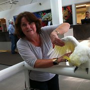 House Sitter - Lynda M