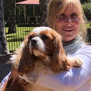 House Sitter - Suzanne  