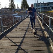 House Sitter - Highly recommended & trustworthy carers.