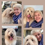 House Sitter - Sharon loves to House Sit 