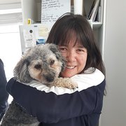 House Sitter - Honest and Reliable NZ Pet/House Sitters