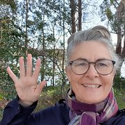 House Sitter - Experienced Mature House/Pet Sitter