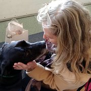 House Sitter - Trusted & Experienced Since 2014 