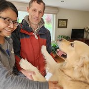 House Sitter - Mature couple available in Canberra