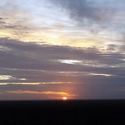 House Sitter - A Pair Of Nomads