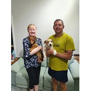 House Sitter - Sporto