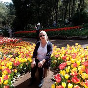 House Sitter - RoseC65