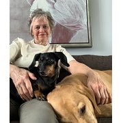 House Sitter - Leslie