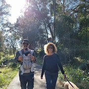 House Sitter - Recently retired dog lovers