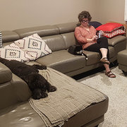 House Sitter - Dependable caretakers for your home&pets