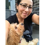 House Sitter - Reliable Honest Friendly Animal Lover