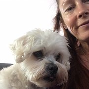 House Sitter - Adept Pet Sitters