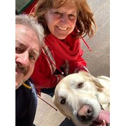 House Sitter - Karen and Alan. 