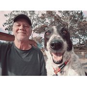 House Sitter - Roving North & South to the Border