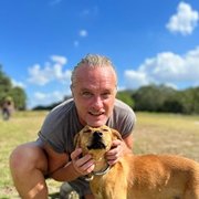 House Sitter - Animal Loving Mature Kiwi w/ References!