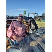 House Sitter - Experienced (25+sits), Work from Home.