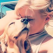 House Sitter - Professional Pet & Home Sitter