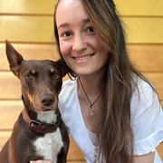 House Sitter - Reliable, trusted sitter