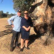 House Sitter - Cruising