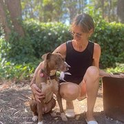 House Sitter - Trusted & Reliable Animal/Garden Loving