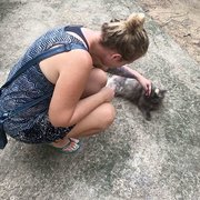 House Sitter - Responsible full time cat/house sitter