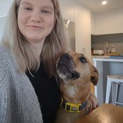 House Sitter - Reliable & Experienced Animal Lovers!