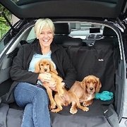 House Sitter - Experienced, responsible & caring sitter