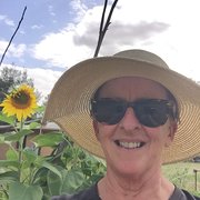 House Sitter - Animal lover with skills