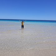 House Sitter - Solo sitter