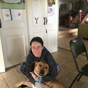 House Sitter - Anise: friendly,respectful, love animals