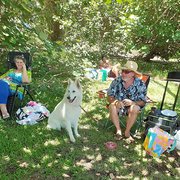 House Sitter - Experienced Mature Sitters