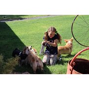 House Sitter - Mechanical Nomads 