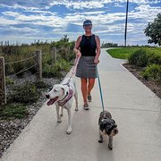 House Sitter - Candice and Tony