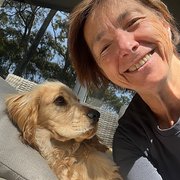 House Sitter - 1greathowsitter