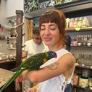 House Sitter - Jacinta the Sitter