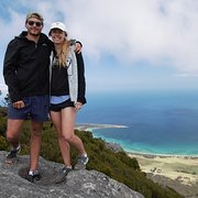 House Sitter - Well-trained adopt-a-humans