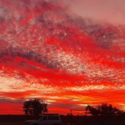 House Sitter - Lea and Ian