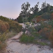 House Sitter - AVAILABLE Newcastle area