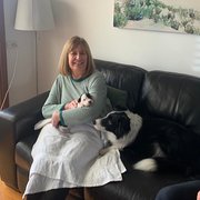 House Sitter - Therese and Curtis Reliable