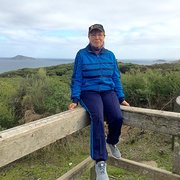 House Sitter - Alexis