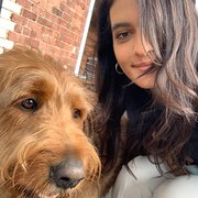 House Sitter - Sunny