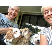 House Sitter - English, active, animal & garden loving