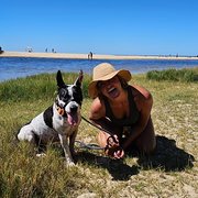 House Sitter - Capable and Considerate Carer