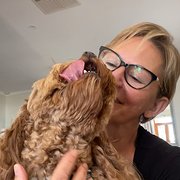 House Sitter - Experienced, caring, reliable sitter.