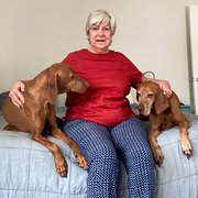 House Sitter - Perfection house/pet sitting