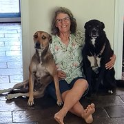 House Sitter - Lynda P