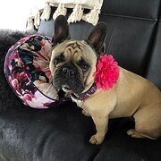 House Sitter - Kym and Ash 