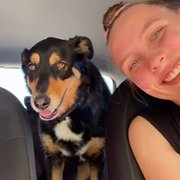 House Sitter - Jazmine- caring and respectful sitter