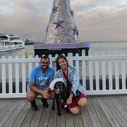 House Sitter - Experienced petsitting duo - Aayu & Nik